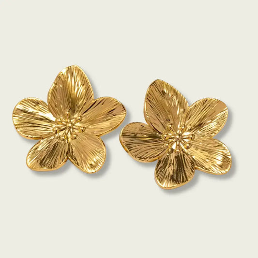 Boucles en acier inoxydable - Lina