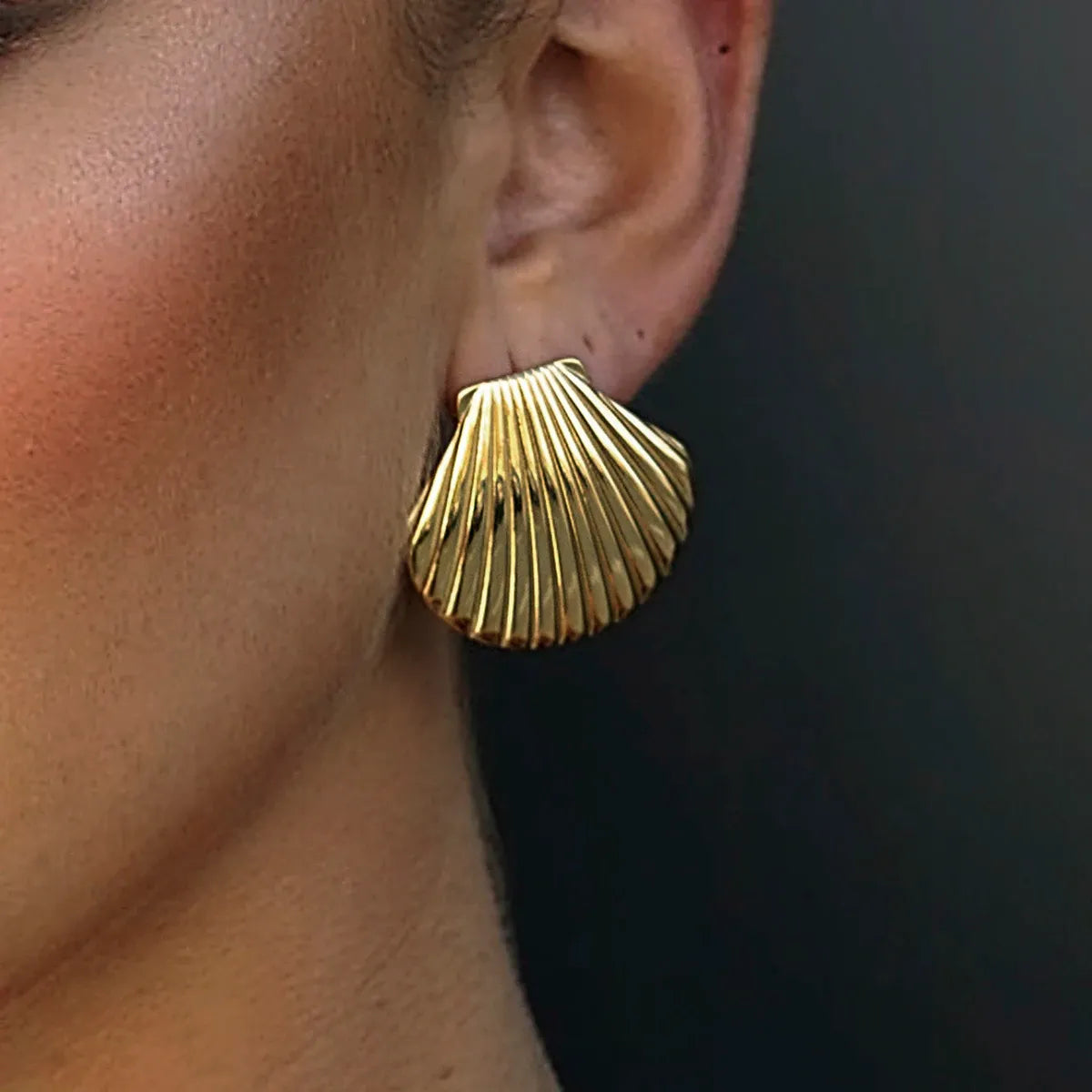 Boucles en acier inoxydable - Mira